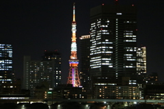 TOKYO BAY CRUISE / SYMPHONY 5