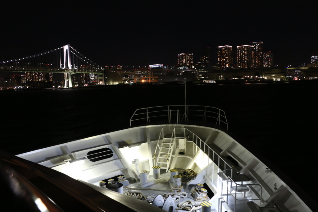 TOKYO BAY CRUISE / SYMPHONY 2