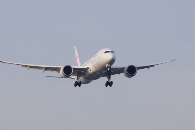 JAL 787