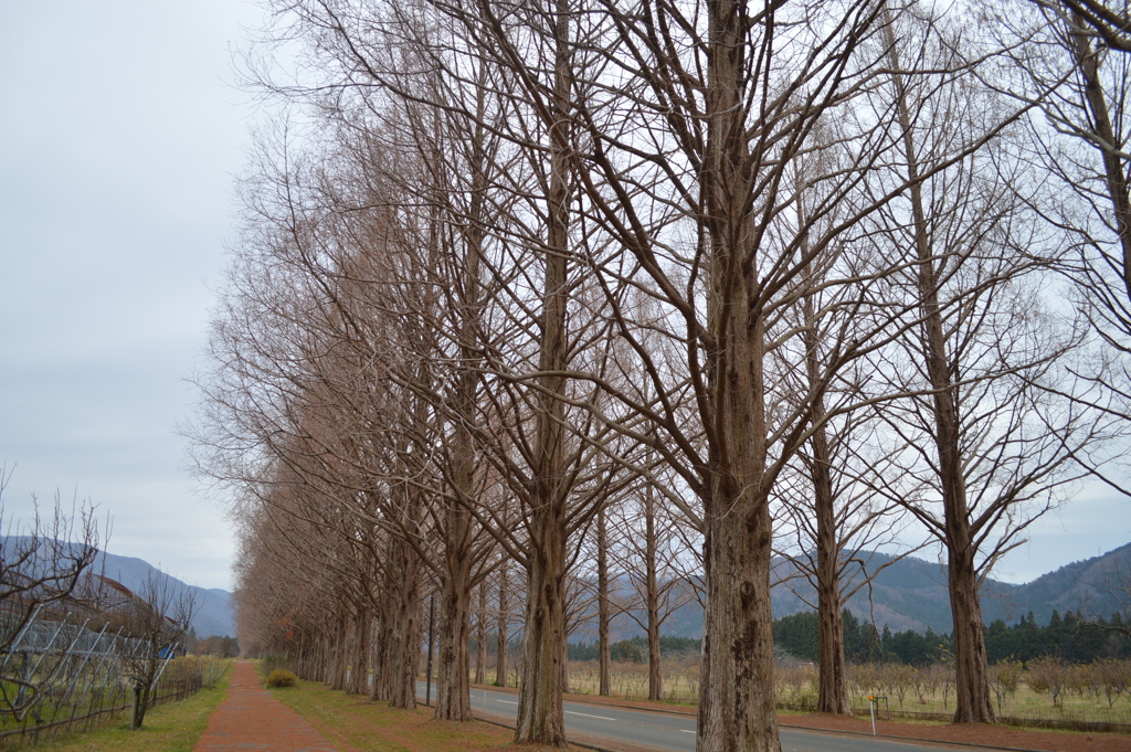 残念な風景？