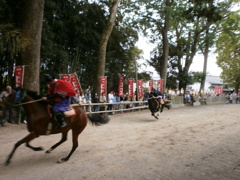 賀茂祭の足伏走馬より２