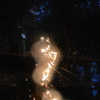 '15八幡掘り１