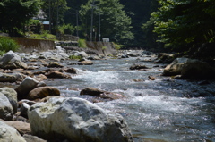 芹川-3