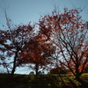 '15秋の風景４