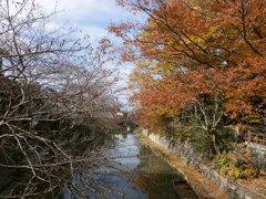 '15秋の八幡掘り