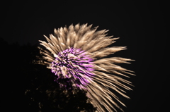 ’15篠田の花火2