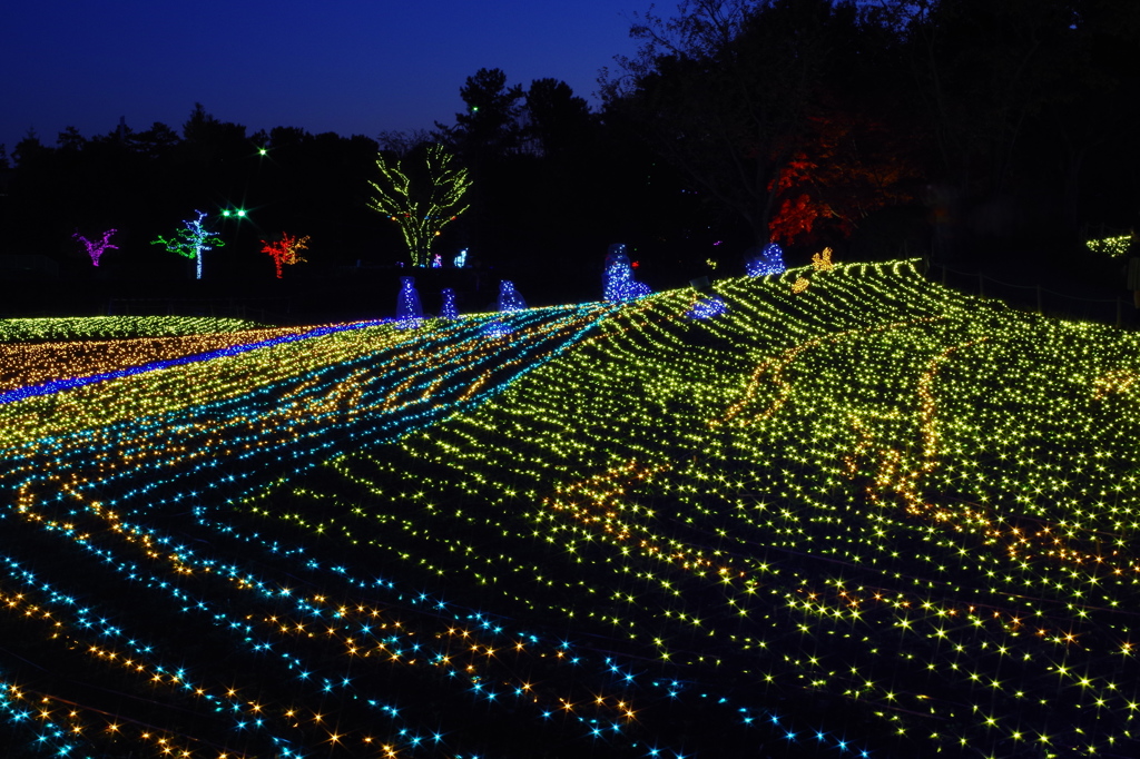 光の波-Wave of light-
