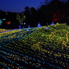 光の波-Wave of light-