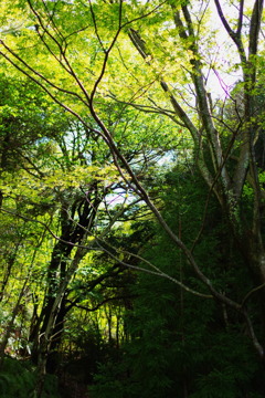 暖かさ、鮮やかさ。