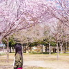 桜を見るあの子は