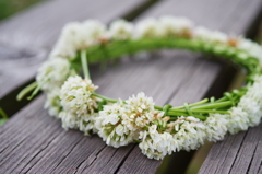 シロツメクサの冠 ‐Crown white clover-