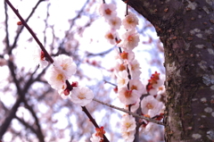 進学、卒業。