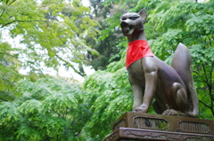 見守ります