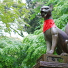 見守ります