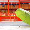 置き傘、拾って。 