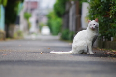お疲れですね・・？