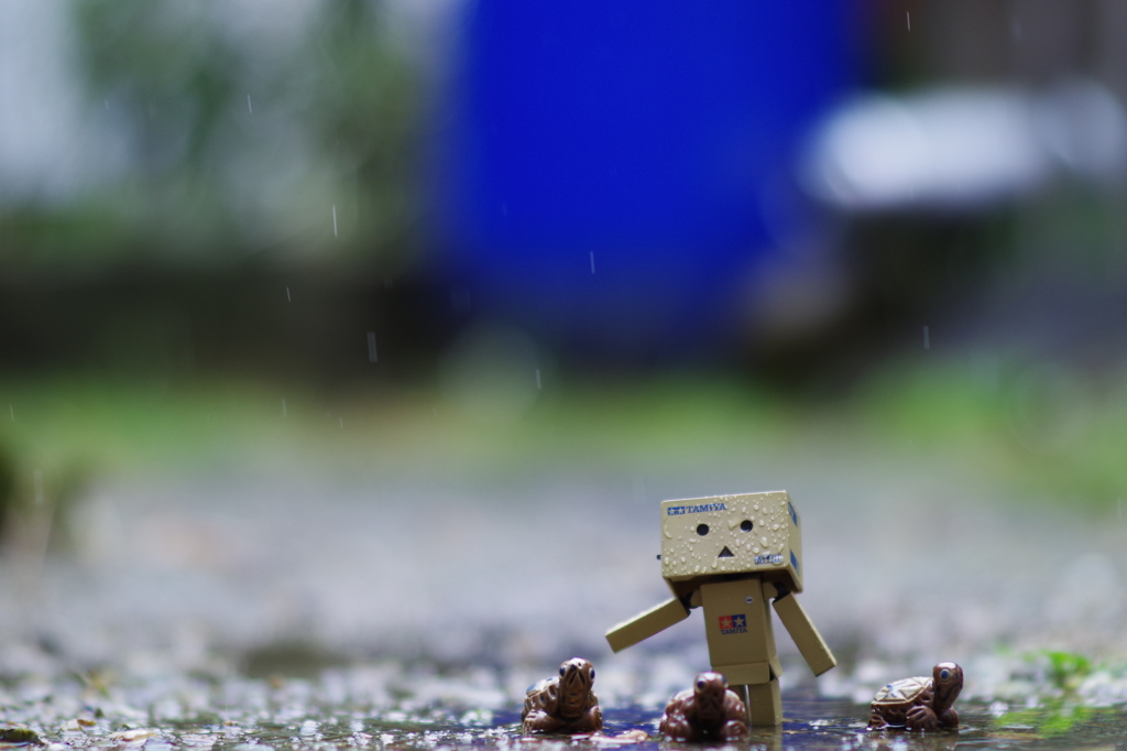 雨降りの中で。