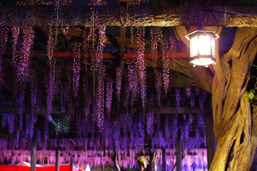 世界-Beautiful world-