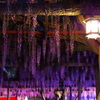 世界-Beautiful world-