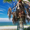 夏風-Summer wind-