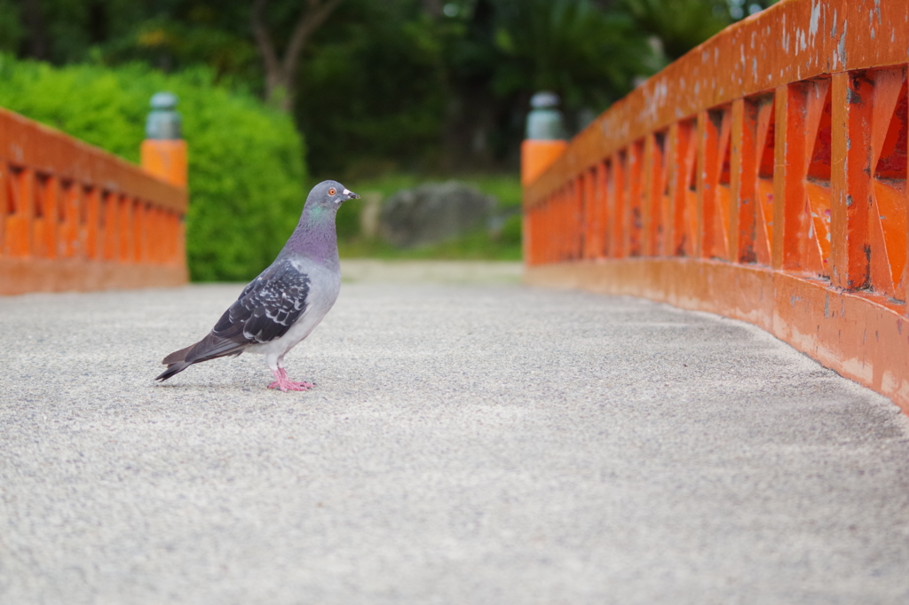 横を見て