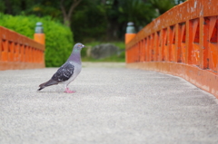 横を見て