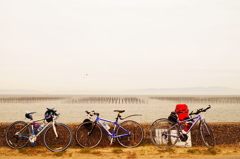 海風と自転車