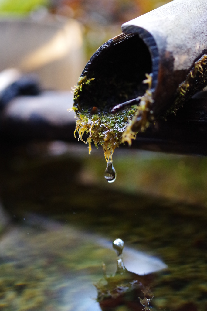 一滴　-Drop-