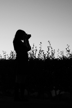 影-Shadow-