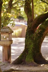 建つもの、立つもの。