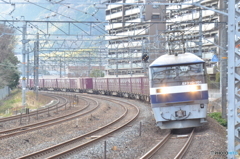 サントリーカーブ②