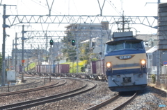 やっと会えたね