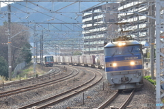 サントリーカーブ①