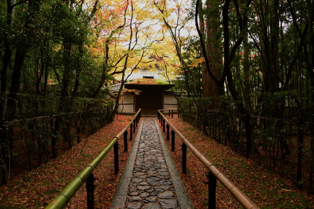 高桐院