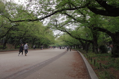 休日の公園で