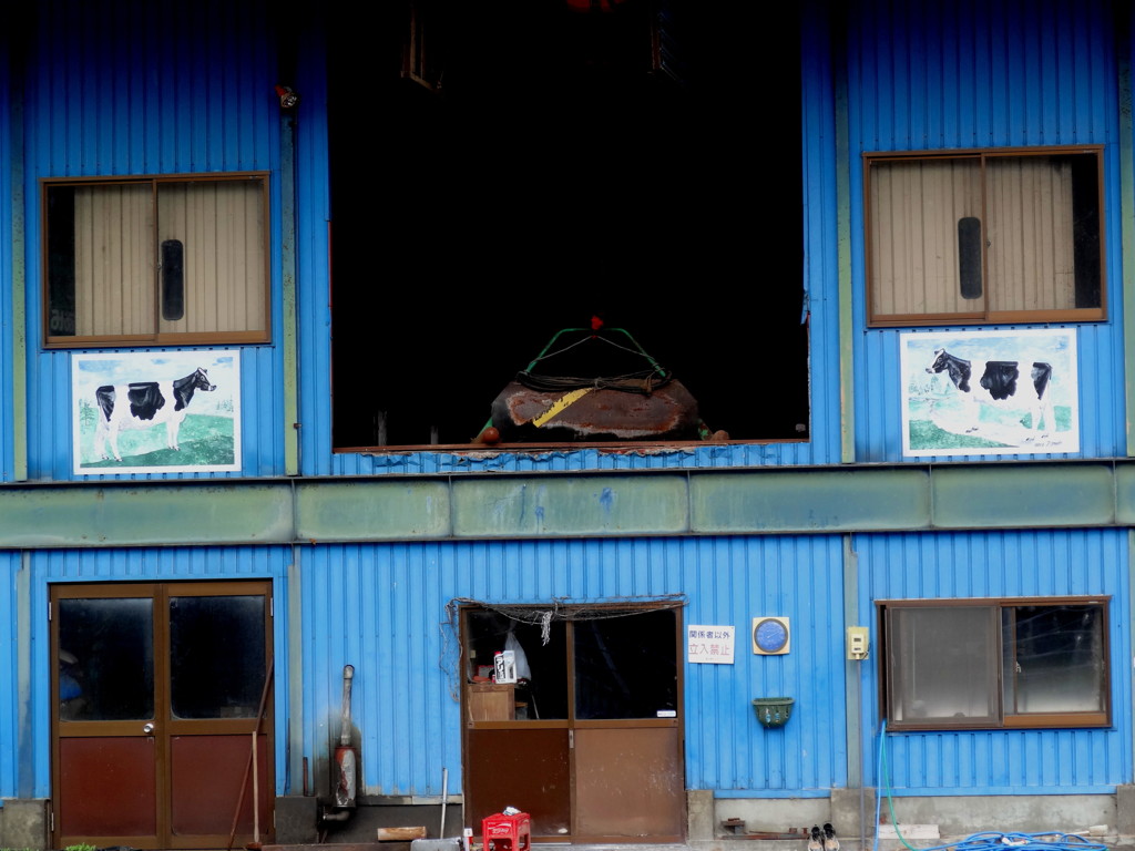 ＣＯＷ　ＢＡＲＮ