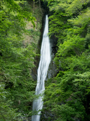 洒水の滝