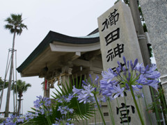 櫛田神社浜宮
