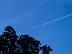 飛行機雲