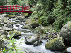 洒水の滝　瀑からの流れ