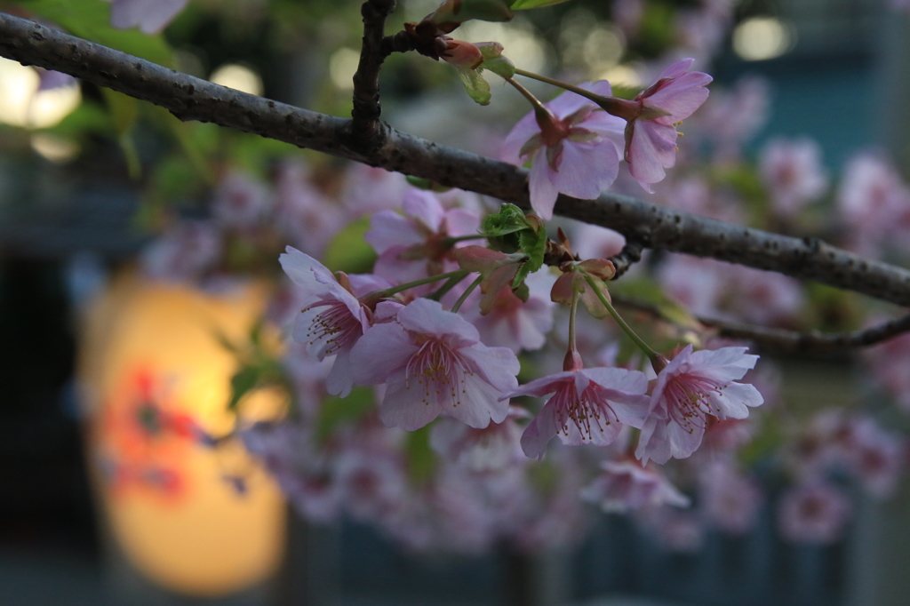 上野、五條天神社