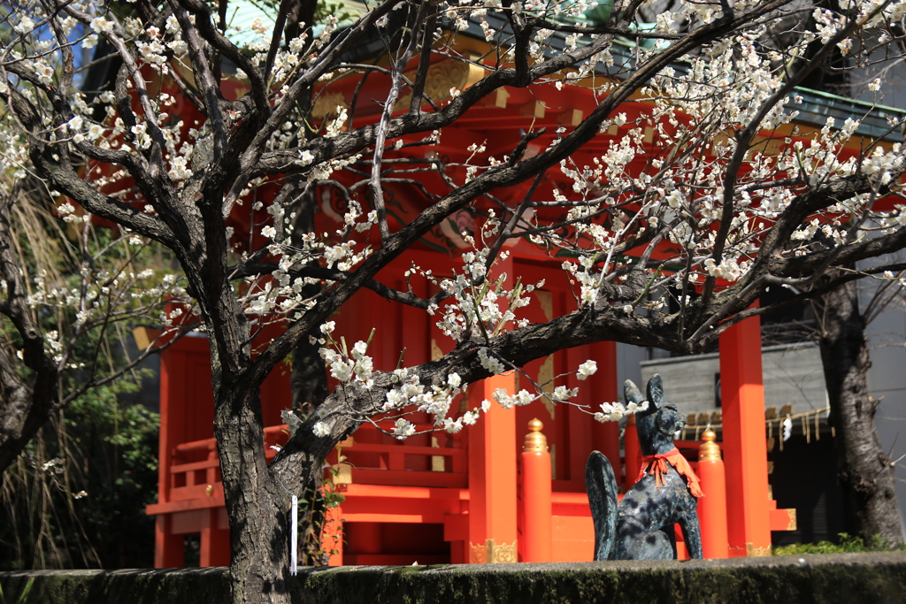 神社めぐり・神田明神