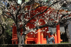 神社めぐり・神田明神