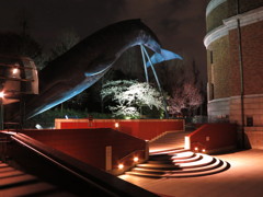 国立科学博物館