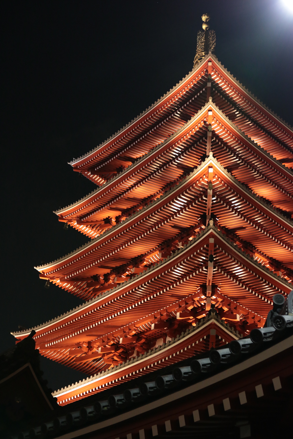 夜の浅草寺