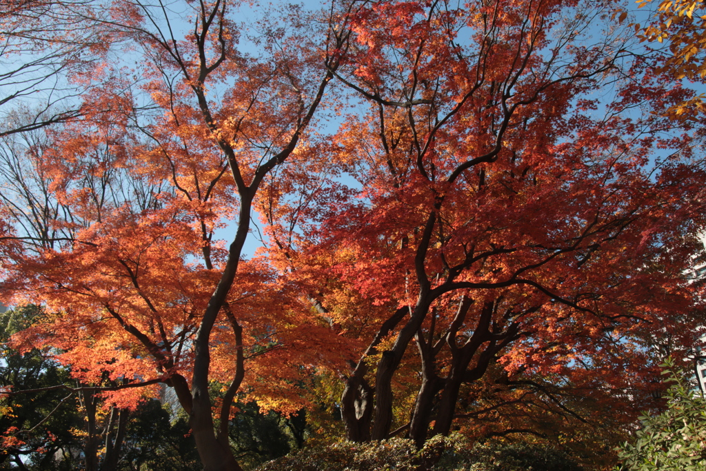 日比谷公園