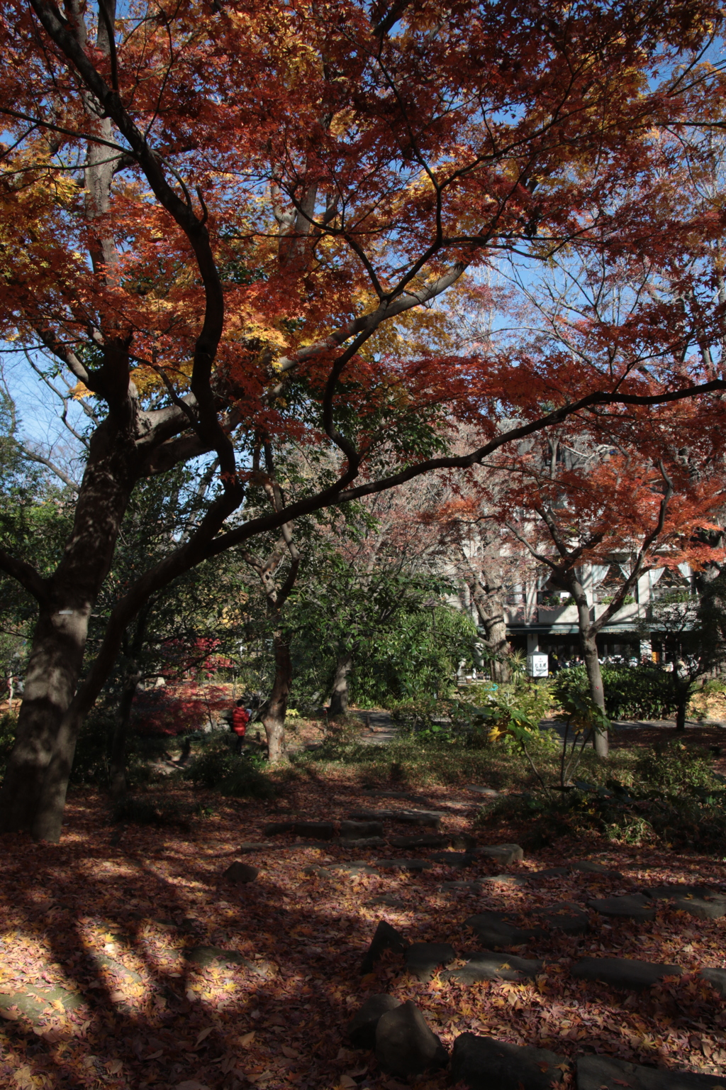 日比谷公園