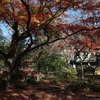 日比谷公園