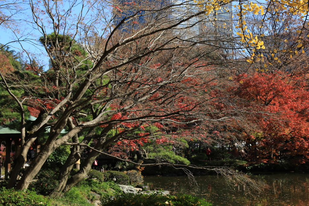 日比谷公園・紅葉2016
