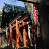 花園稲荷神社03